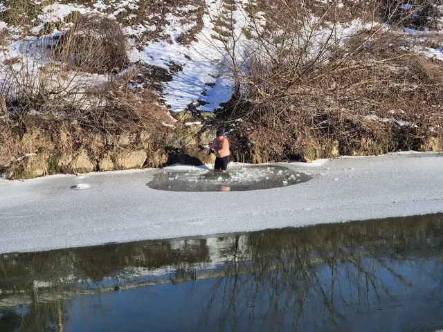 Foto: MeinBezirk/W. Fischer