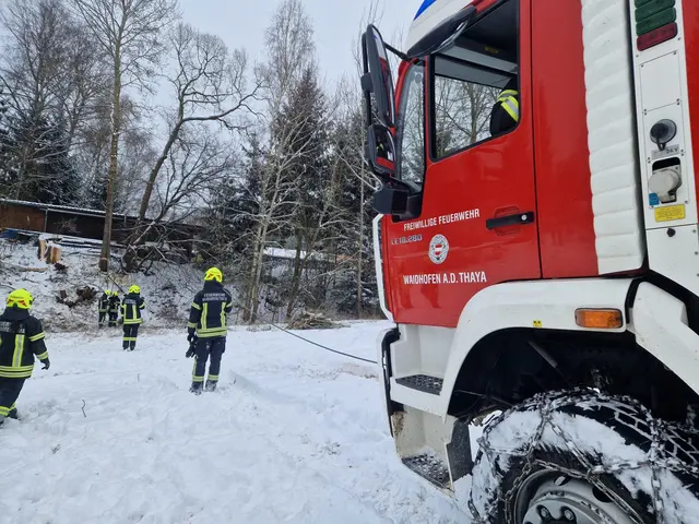 Mittels Seil konnte der Baum in die richtige Richtung gelenkt werden. | Foto: FF Waidhofen/Thaya