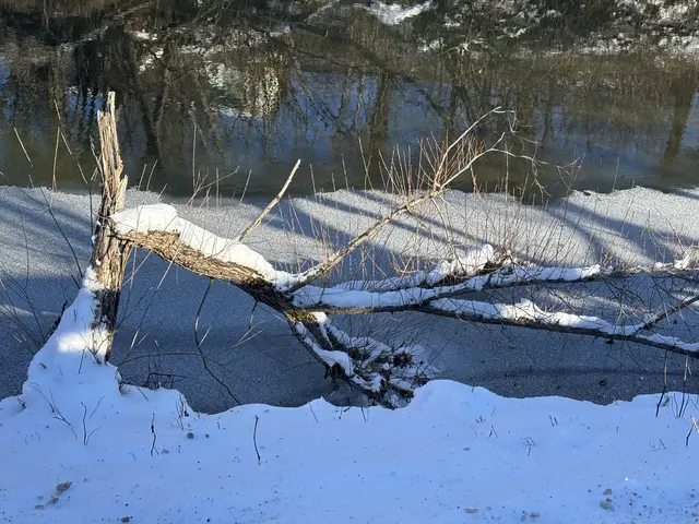 Die winterliche Landschaft zeigt sich von ihrer rauen, aber zugleich beeindruckenden Seite. | Foto: MeinBezirk/W. Fischer