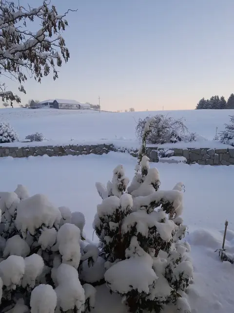 Münzbach Obergaisberg | Foto: Josef Buchmayr
