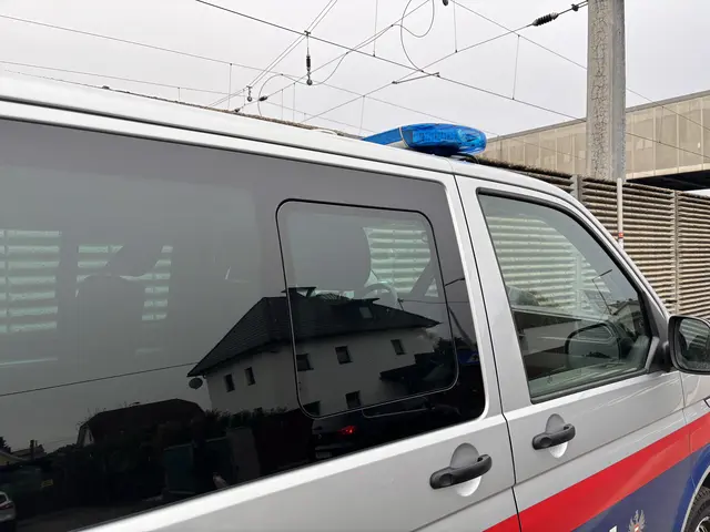 Der Tatverdächtige sei festgenommen und in das Polizeianhaltezentrum Klagenfurt überstellt worden. (Symbolfoto) | Foto: MeinBezirk/Lea Kainz