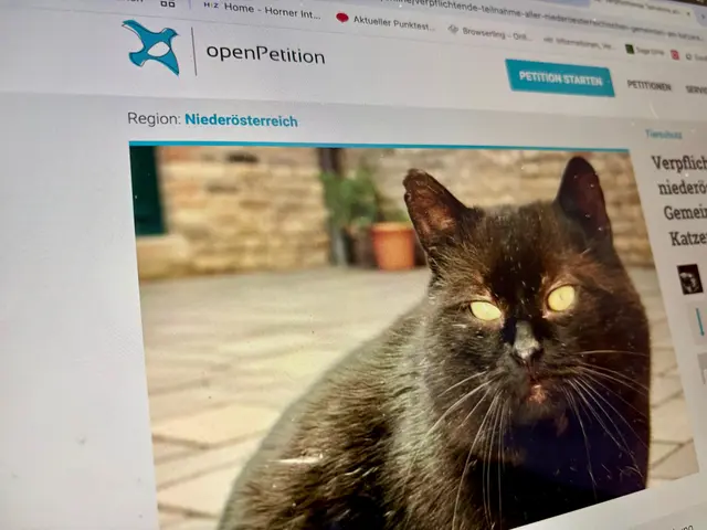 Aus Rosenburg-Mold kommt ein lauter Aufruf: Über 1.200 Menschen fordern jetzt die verpflichtende Katzenkastration in ganz Niederösterreich. | Foto: Markus Kahrer