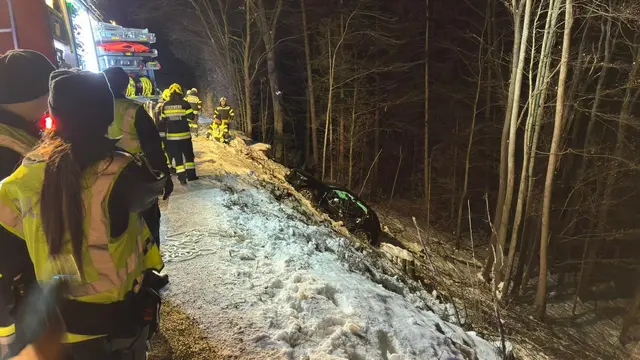 Das Fahrzeug war 50 bis 60 Meter einen steilen Hang hinabgerutscht. | Foto: Auer M - FF St. Stefan/R