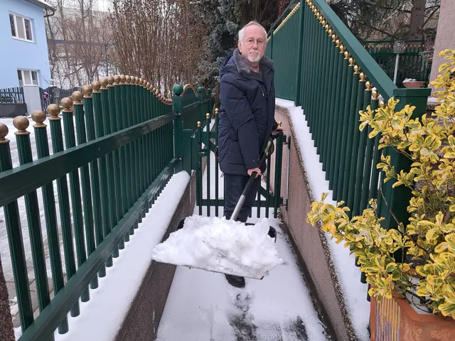Familie Eberhart aus Tulln schippt immer selbst den Schnee vorm Haus. | Foto: Edlinger