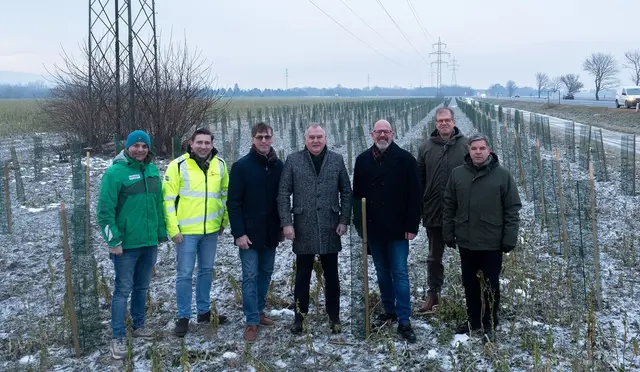 Gutshof-Leiter Florian Schlögl, Grünraum-Leiter Florian Fux, Gemeinderat Franz Hatvan, Stadtrat LAbg. Franz Dinhobl, Umweltstadtrat Norbert Horvath, Thomas Pils (wnsks-Geschäftsführer) und Peter Eckhart (wnsks-Geschäftsführer). | Foto: Stadt Wiener Neustadt/Maurer