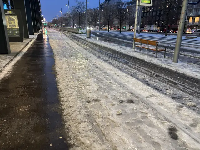 Laut der Betriebsinfo der Wiener Linien kam es aufgrund der Witterungsverhältnisse in den späten Abendstunden, in der Nacht auf Dienstag sowie am frühen Dienstagmorgen zu mehreren Störungen und Einschränkungen. | Foto: MeinBezirk