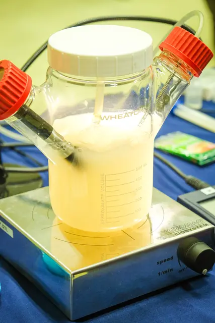 Foto: Andreas Hellerschmid