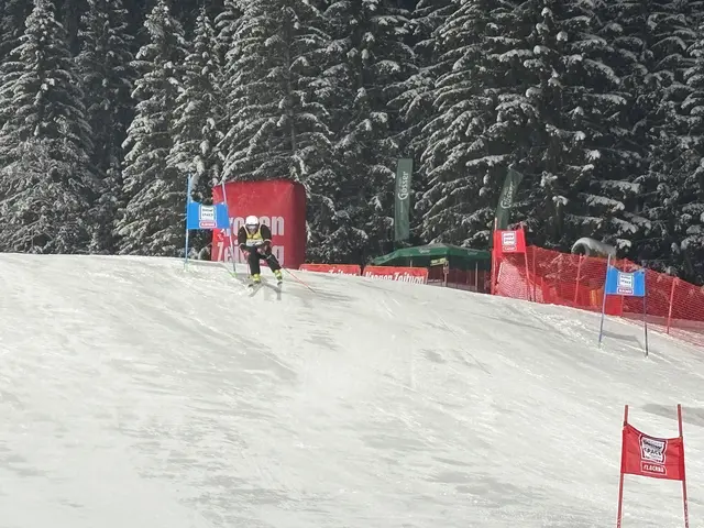 Foto: Emanuel Hasenauer