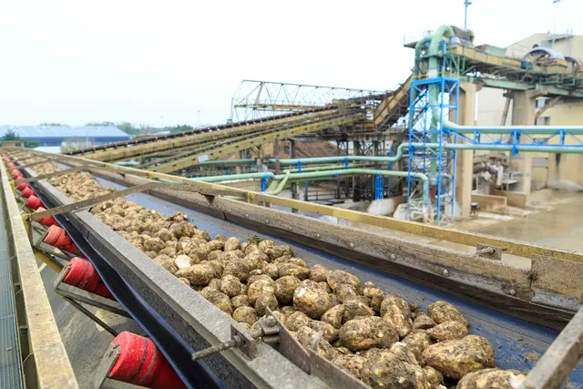 Die Zuckerrübenverarbeitung bei Agrana. | Foto: Agrana