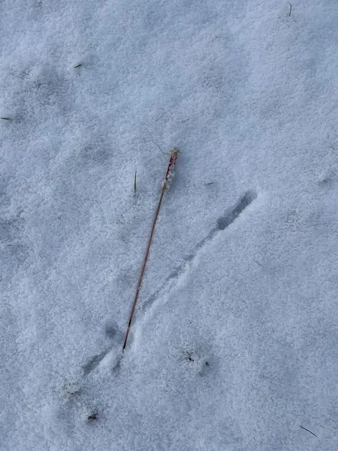 Die Reste von Raketen und Co bleiben nach Silvester in Gärten, Feldern und auf Straßen liegen. | Foto: Barbara Fluckinger