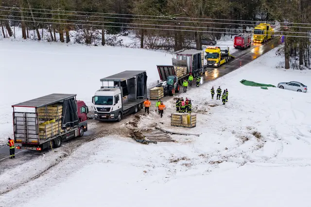 Die Hühner mussten in einen Ersatz-Lkw umgeladen werden. | Foto: TEAM FOTOKERSCHI/MATTHIAS KALTENLEITNER