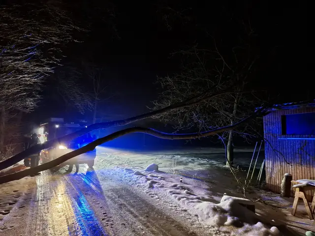Ein umgestürzter Baum sorgte für den ersten Einsatz der Feuerwehr Trosskolm in diesem Jahr. | Foto: FF Trosskolm