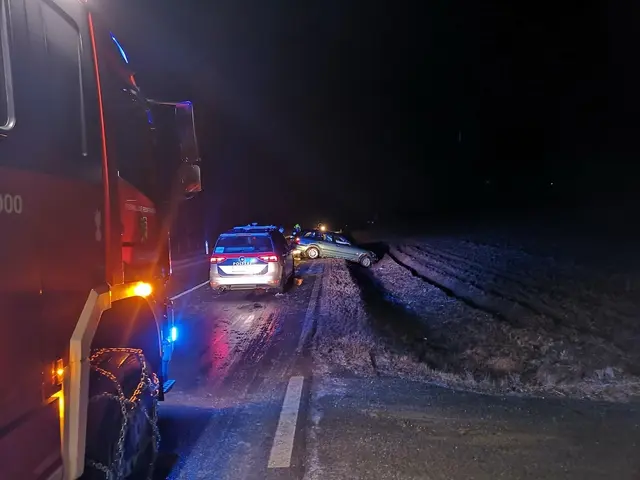 Das Glatteis hat den Bezirk Horn fest im Griff – erste Einsätze der Feuerwehren zeigen, wie ernst die Lage ist. | Foto: Bezirksfeuerwehrkommando Güssing