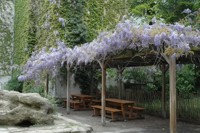 Ein verwunschener Pfad, mitten im Innenhof des "Planquadrats". | Foto: Christian Bunke