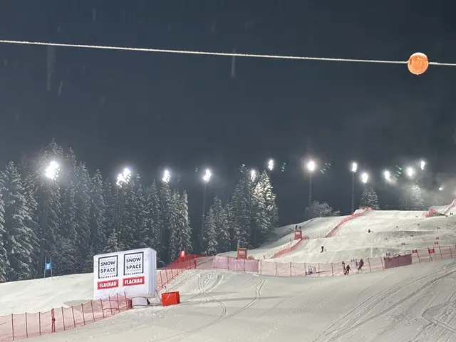 Die Promis und Legenden fuhren mutig die Piste hinunter. | Foto: Emanuel Hasenauer
