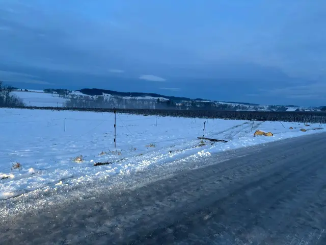 Bei der "Fahrt" durch die Weide hat der Autofahrer einige Teile verloren. | Foto: Fasching