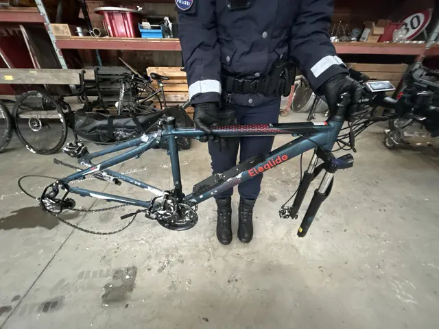 Ebenfalls gesucht wird nach dem Besitzer dieses Fahrradrahmens. | Foto: LPD Steiermark
