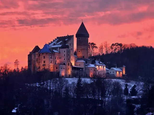 Blick auf Burg Clam | Foto: Elisabeth Brandstetter