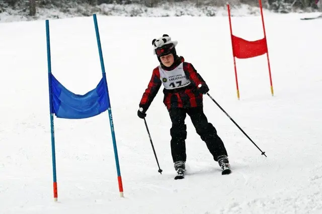 Foto: Pfadfinder Freistadt