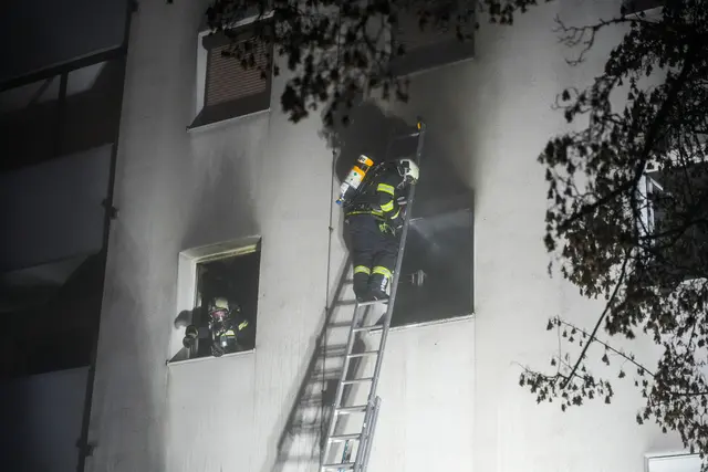 Foto: fotokerschi/markus hauser