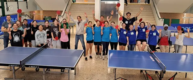 Die Vorrunde ist nur ein Zwischenhalt am Weg zum großen Ziel – dem Finale in der Wiener Stadthalle. | Foto: Foto: BG/BRG Pichelmayergasse
