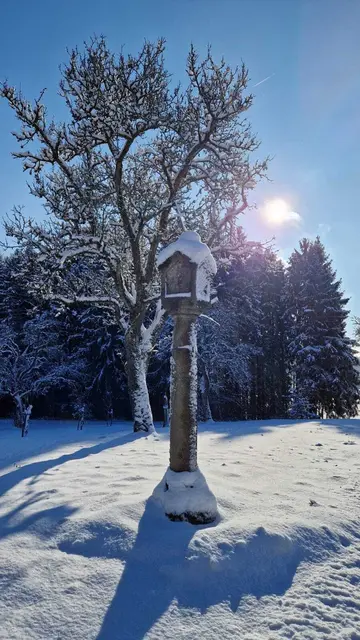 Marterl im Winter | Foto: Elisabeth Brandstetter