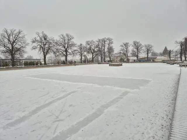In Horn sorgt das generelle Eislauf-Verbot am Stadtsee für heftige Diskussionen. | Foto: SPÖ Horn