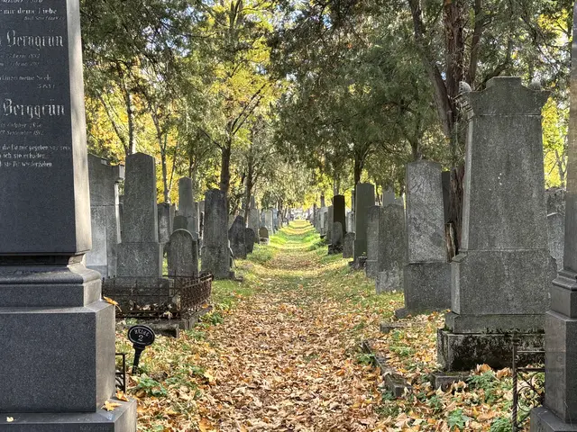 Die Eröffnung des Zentralfriedhofes erfolgte an einem Allerheiligentag, konkret am 1. November des Jahres 1874. | Foto: Antonio Šećerović/MeinBezirk