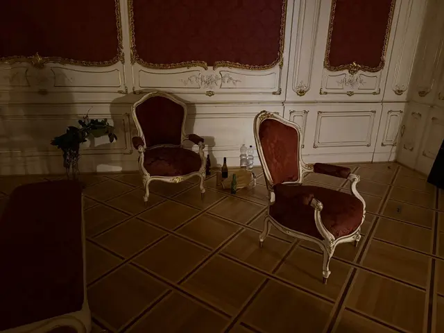 Zudem wurden laut der Polizei zwischenzeitlich zwei weitere aus dem Gebäude stammende Gegenstände – ein barocker Stuhl und ein weiterer Spiegel – beim Landeskriminalamt abgegeben und sichergestellt. | Foto: zVg