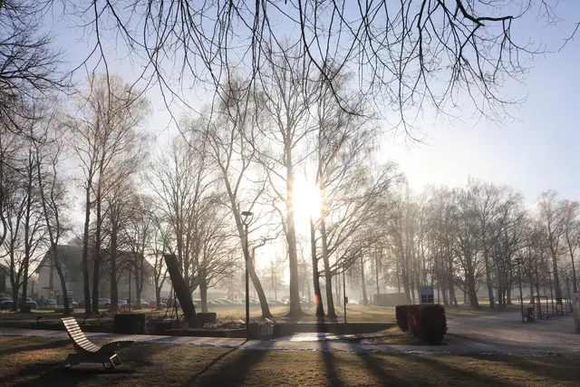NEBEL-SONNE, ☀️sie hat sich durchgesetzt.