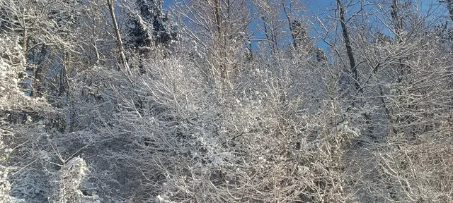 Thurnhof, Gemeinde Perg, im Winter 2026
 | Foto: Judith Janowetz