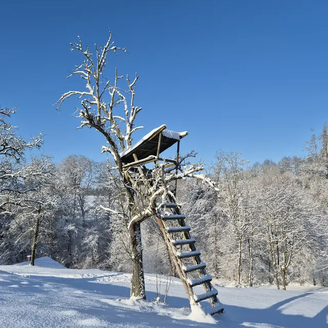 "Ein Wintertag wie damals" | Foto: Brigitte Käferböck