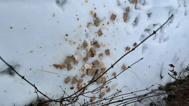 In Penzing wurde entlang des Mauerbachs Brot verstreut.  | Foto: z.V.g