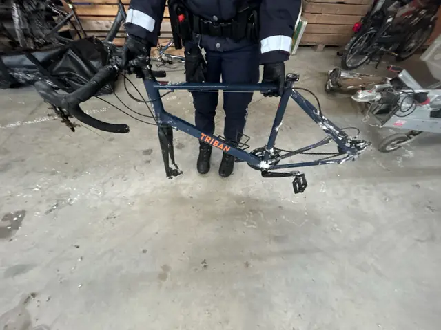 Auch dieser Fahrradrahmen sucht noch seinen Besitzer. | Foto: LPD Steiermark