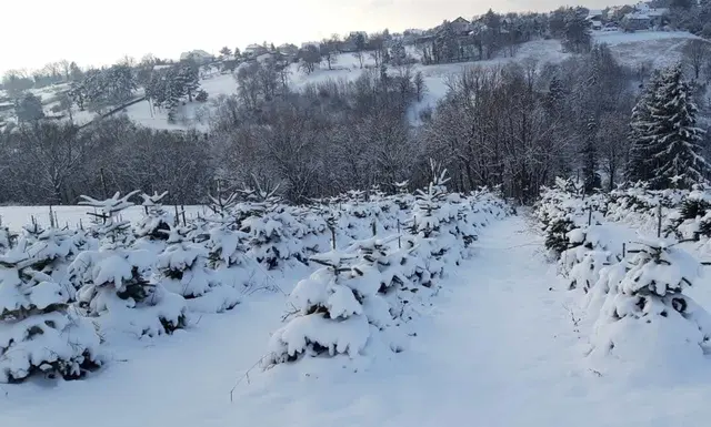 Foto: Thomas Stipits