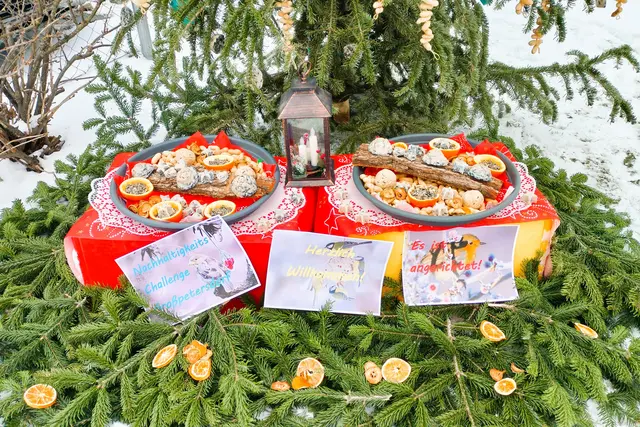Liebevoll gestaltet wurde der "Futterbaum" für die Nachhaltigkeitschallenge. | Foto: Sylvia Kremsner