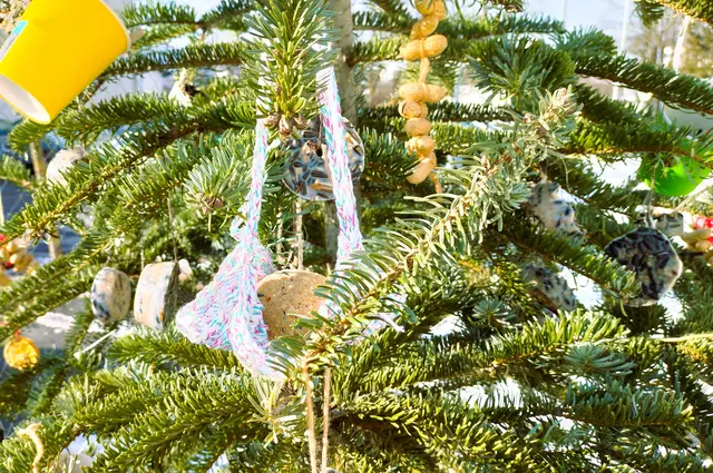 Foto: Sylvia Kremsner