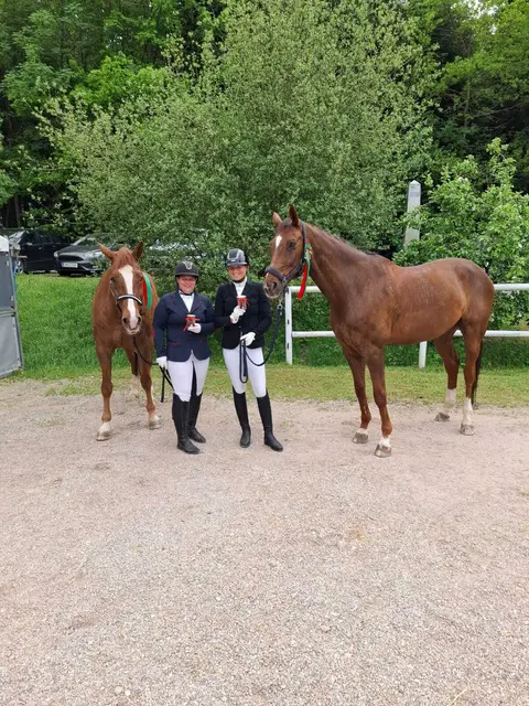 Foto: Reit- und Fahrverein St. Marienkirchen