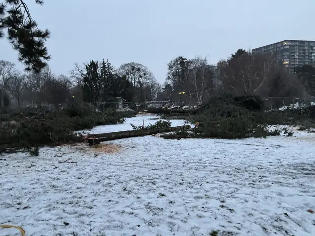 Foto: Mathias Kautzky/MeinBezirk