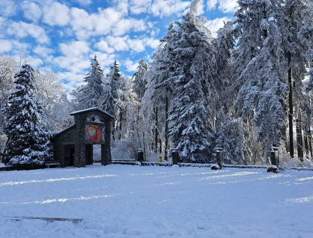 Foto: Thomas Stipits