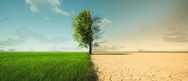 Grünes Licht für die Zukunft: Mit dem genehmigten Förderpaket kann die KEM ihre Klimaschutzprojekte 2026 fortsetzen. | Foto: stock.adobe/appledesign