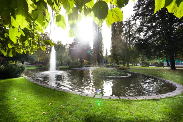 Die Schutzzone im Volksgartenark wurde im Juli 2024 eingerichtet und nun abermals um weitere sechs Monate verlängert. | Foto: Konstantinov