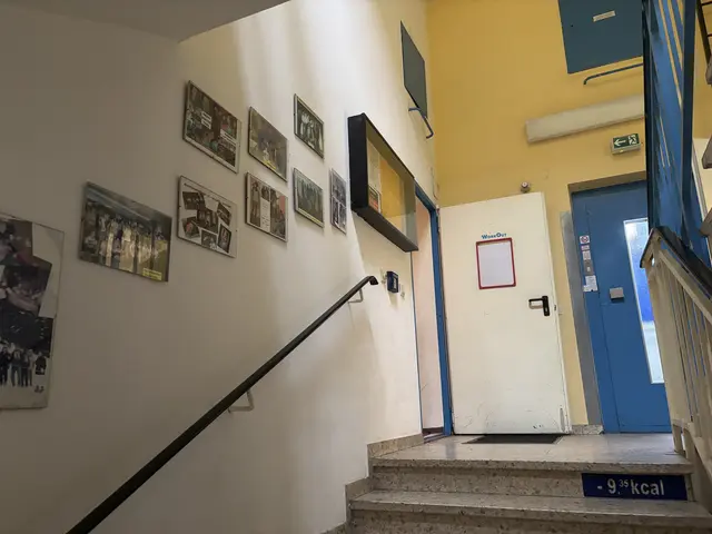 Das Stiegenhaus zeugt von der bewegten Vergangenheit des Studios. Bilder zeigen Erinnerungen aus der langen Gechichte von "WorkOut Hernals". Markierungen an den Stiegen zeigen, wie viele Kalorien schon verbrannt wurden.  | Foto: Ipirotis/MeinBezirk