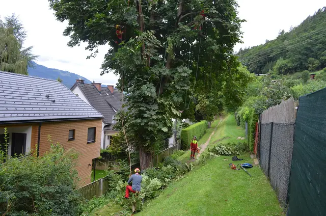 Der Stadtrat beschloss Maßnahmen zur Sicherheit im öffentlichen Raum und entlang der Gewässer, dazu gehört auch die Grünland- und Gehölzpflege. | Foto: Stadt Bruck