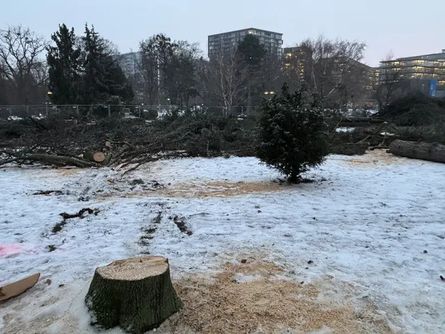 Foto: Mathias Kautzky/MeinBezirk