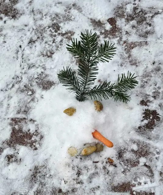 Kleiner Schneemann mit Neffen Pauli gebaut. | Foto: Thomas Stipits