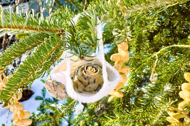 Echte Leckerbissen schmücken den Baum. | Foto: Sylvia Kremsner