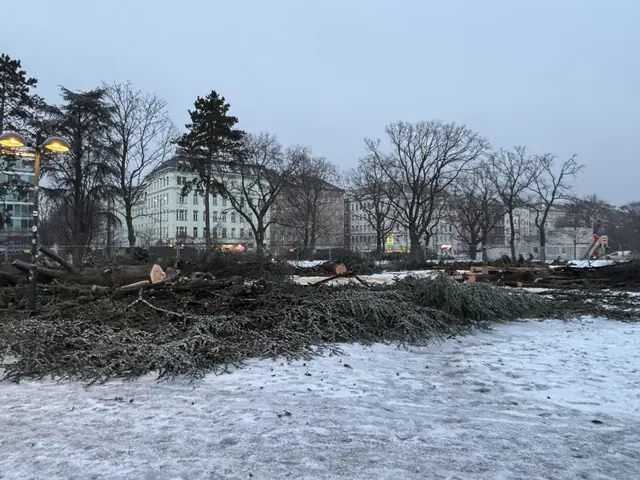 Foto: Mathias Kautzky/MeinBezirk