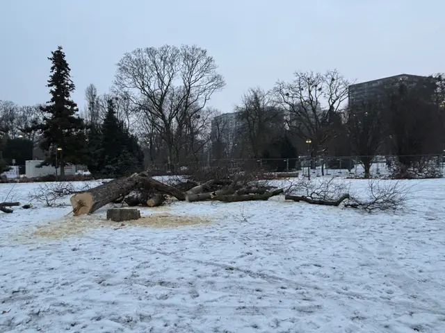 Foto: Mathias Kautzky/MeinBezirk