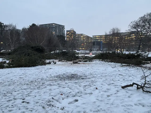 Foto: Mathias Kautzky/MeinBezirk